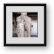 Buy Framed Print