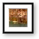 Trevi Fountain Framed Print