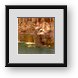 Buy Framed Print