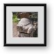 Buy Framed Print