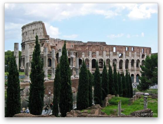 The Colosseum Fine Art Print