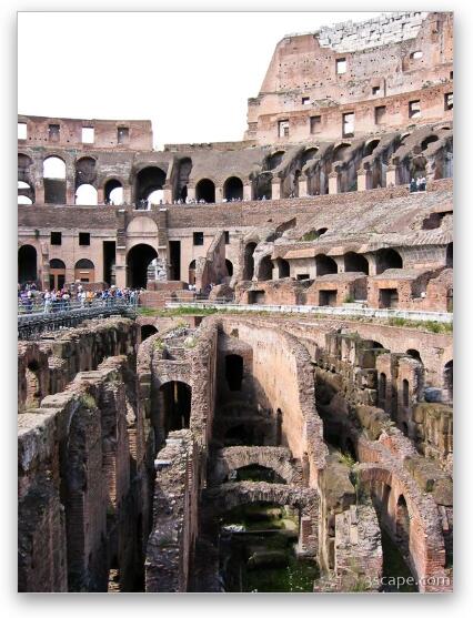 The Colosseum Fine Art Metal Print