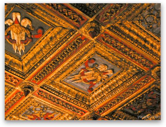 Ceiling in the Vatican museum Fine Art Metal Print