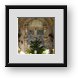 Buy Framed Print