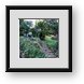 Buy Framed Print