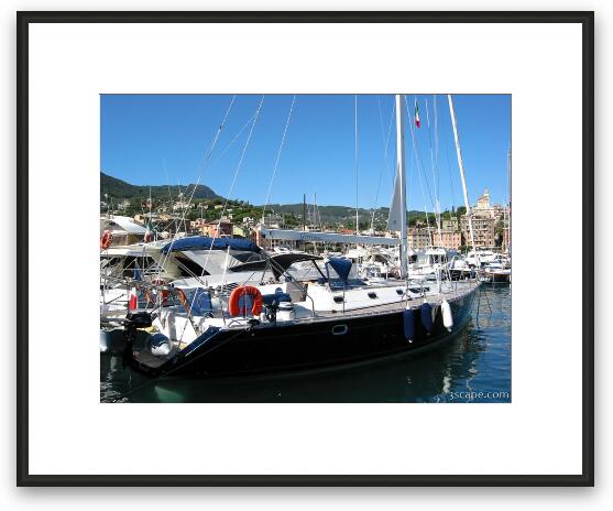 Sailboat Framed Fine Art Print