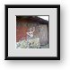 Buy Framed Print