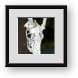 Buy Framed Print