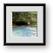 Buy Framed Print
