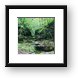 Ozark forest (Mark Twain National Forest) Framed Print