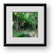 Buy Framed Print
