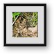 Buy Framed Print
