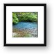 Another spring coming out of the ground Framed Print
