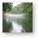 Foggy morning on the river Metal Print