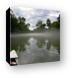 Fog on the Eleven Point River Canvas Print