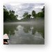 Fog on the Eleven Point River Metal Print