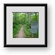 Buy Framed Print