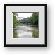Buy Framed Print