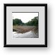 Buy Framed Print