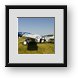 Buy Framed Print