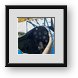 Buy Framed Print