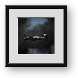 Buy Framed Print