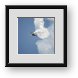 Buy Framed Print