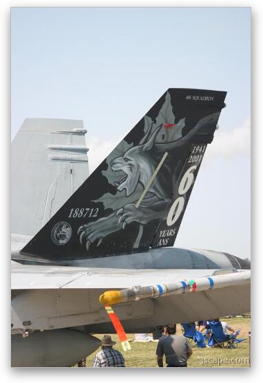 F-18 Hornet tail design (Canadian) Fine Art Metal Print