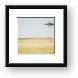 F-18 Hornet landing Framed Print