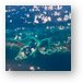A view of the Bahamas from the air. Metal Print
