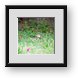 Buy Framed Print