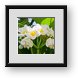 Buy Framed Print