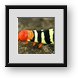 Buy Framed Print