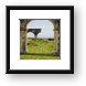 Ruins,  Brimstone Hill Fortress Framed Print