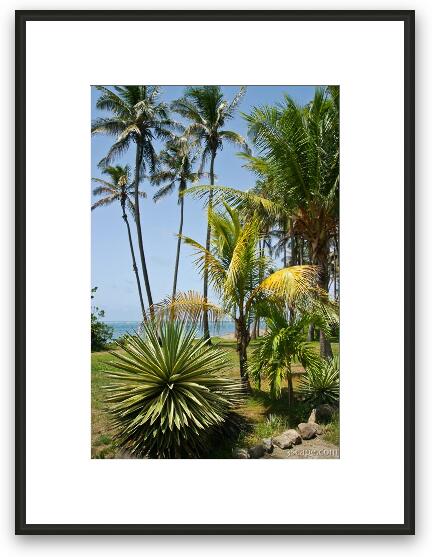 Dieppe Bay, St. Kitts Framed Fine Art Print