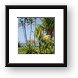 Dieppe Bay, St. Kitts Framed Print