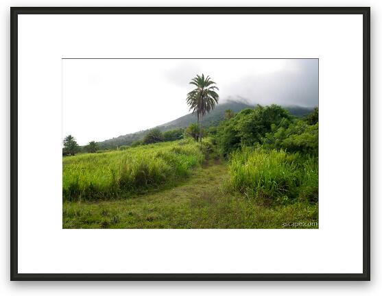 Mt. Liamuiga, 3792ft. (dormant volcano) Framed Fine Art Print