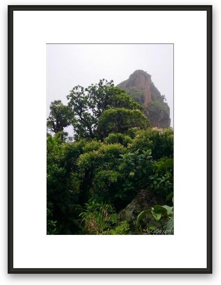 The top of Mt. Liamuiga Framed Fine Art Print
