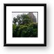 The top of Mt. Liamuiga Framed Print