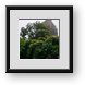 Buy Framed Print