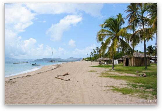 Pinney's Beach, Nevis Fine Art Print