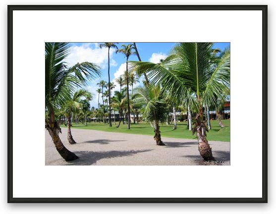 The Four Season's Resort, Nevis Framed Fine Art Print