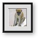 Buy Framed Print
