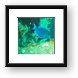 Blue Tang Framed Print