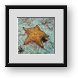 Buy Framed Print