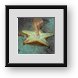 Buy Framed Print