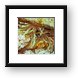 Anemone Framed Print
