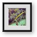 Buy Framed Print