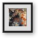 Buy Framed Print