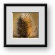Buy Framed Print